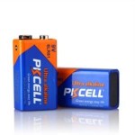 PKCell 9V Alkaline battery (LR61)