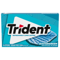 Trident Wintergreen Gum