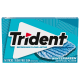 Trident Wintergreen Gum